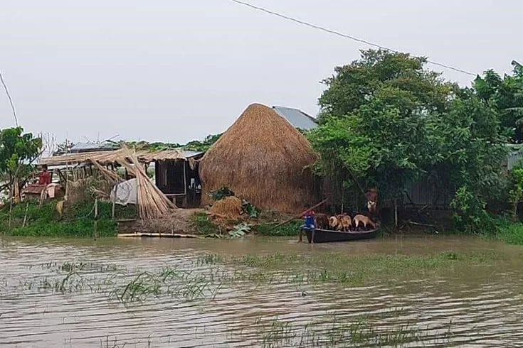 রাজবাড়ীতে পদ্মার পানি বেড়ে প্লাবিত নিম্নাঞ্চল