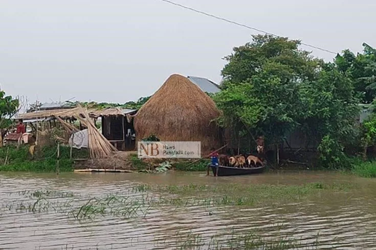পদ্মার পানি বেড়ে বন্যা পরিস্থিতির অবনতি