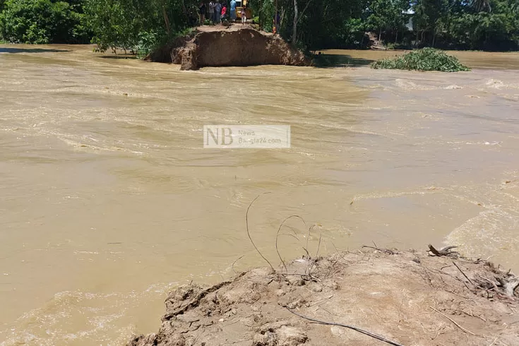 উজানের ঢল: পরশুরামে বাঁধ ভেঙে ৫ গ্রাম প্লাবিত