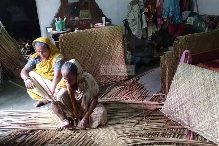 হোগলাপাতায় সংসার বোনেন তারা