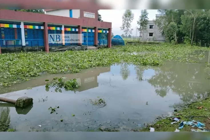 কালিয়াকৈরে ১৯ স্কুলে বন্যার পানি, ক্লাস অনিশ্চিত 