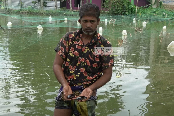 মুক্তা চাষে ফুটবে হাসি