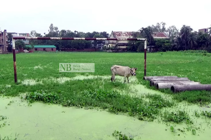 কচুরিপানায়-হারাল-খেলার-মাঠ