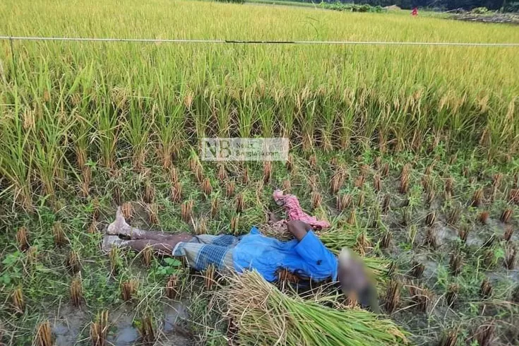 বিদ্যুতের-তারে-জড়িয়ে-মৃত্যু-কিছুই-পায়নি-সেই-চাষির-পরিবার