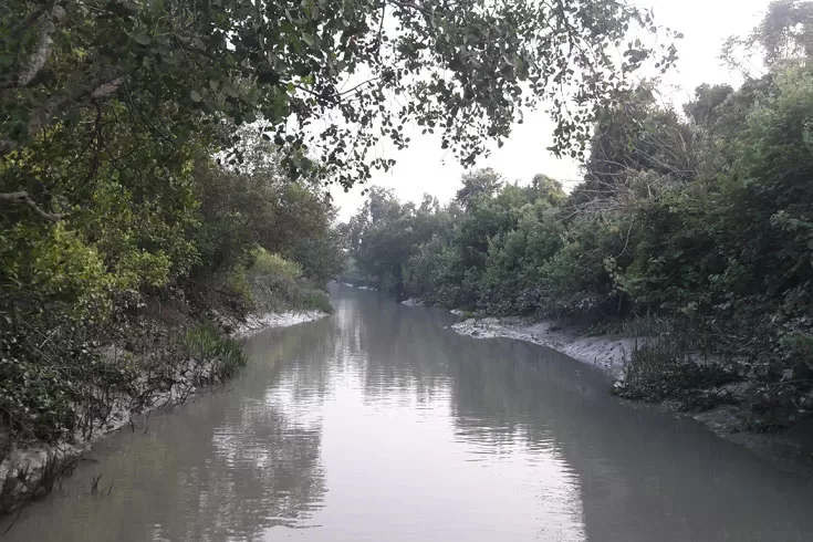 সুন্দরবনে-কাঁকড়া-পরিবহনে-আর-বাধা-নেই