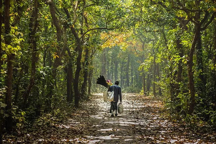 মধুপুর-ভাওয়ালে কাজুবাদাম, কফি চাষের সম্ভাবনা