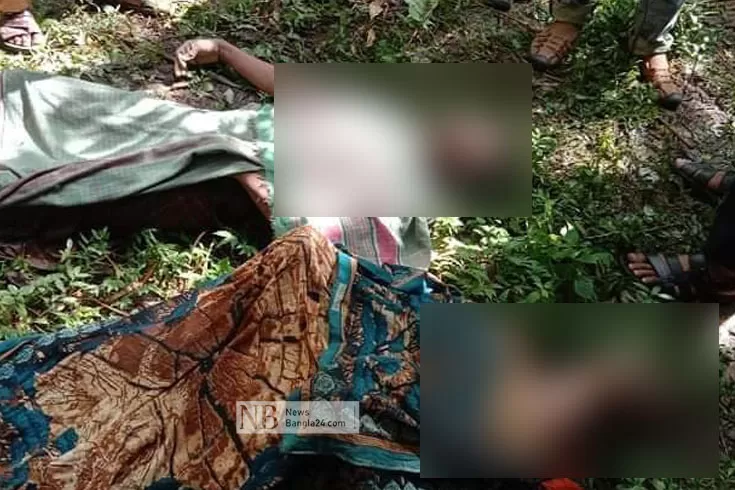 শিয়াল মারতে ধানক্ষেতে বৈদ্যুতিক তার, মারা গেলেন দুই যুবক