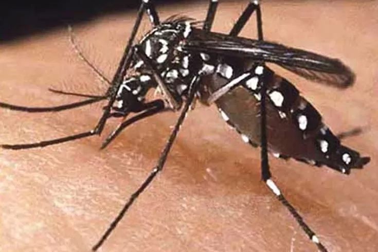 যোগ্য জনবলের অভাবে অকার্যকর ডেঙ্গু প্রতিরোধ