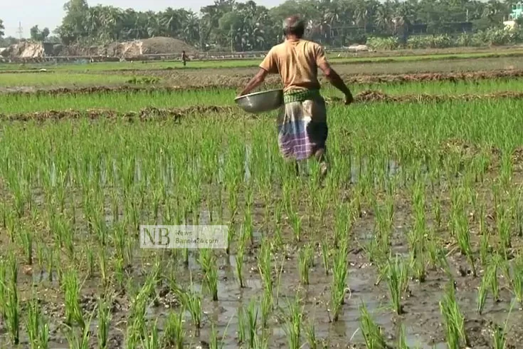 প্রতি-কেজি-সারে-৪-৭-টাকা-বেশি-নেয়ার-অভিযোগ