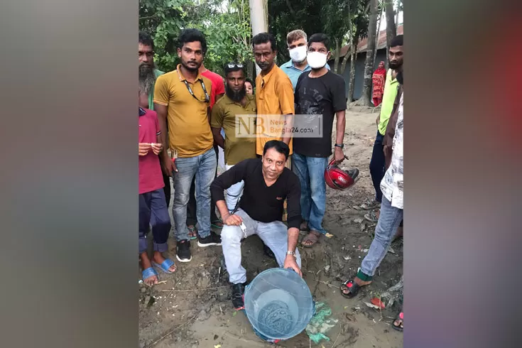 চরে-ছাড়া-হলো-রাসেলস-ভাইপার-ক্ষুব্ধ-স্থানীয়রা