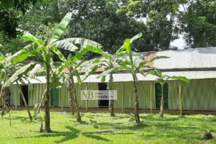 স্কুলের মাঠ দখল করে কলাবাগান