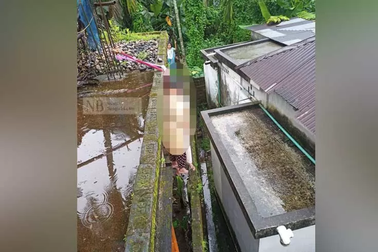 বাড়ির ছাদে দুই বোনের ঝুলন্ত মরদেহ