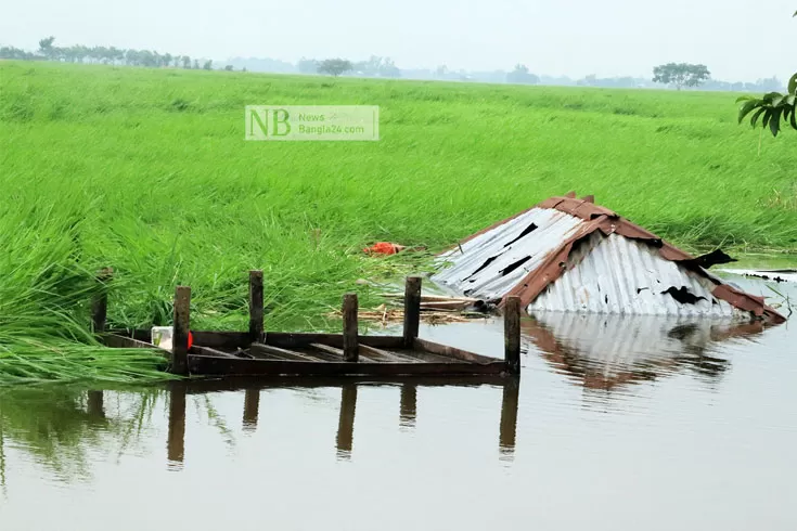 কৃষক হয়রানি: ইউপি সদস্যের ভাইয়ের বিরুদ্ধে অভিযোগ