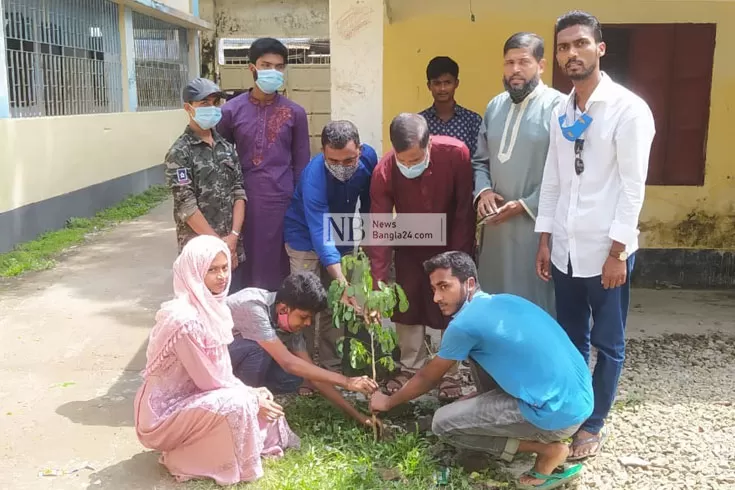 বৃক্ষরোপণে তরুণরা