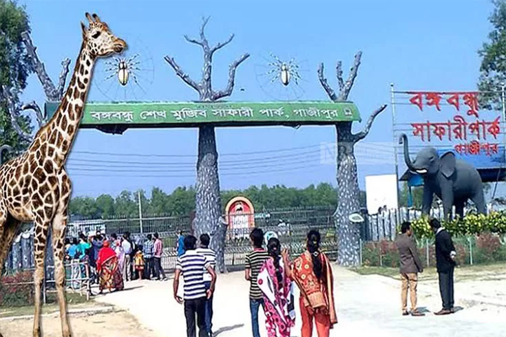সাফারি পার্কে সাদা সিংহের মৃত্যু