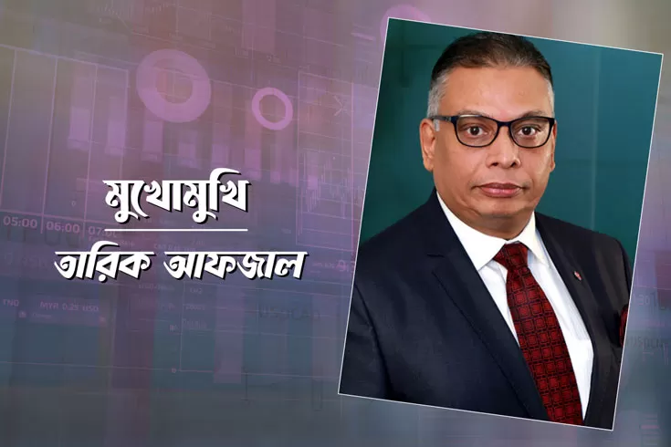 ব্যাংক-খাতে-হস্তক্ষেপ-একটা-সমস্যা-তারিক-আফজাল