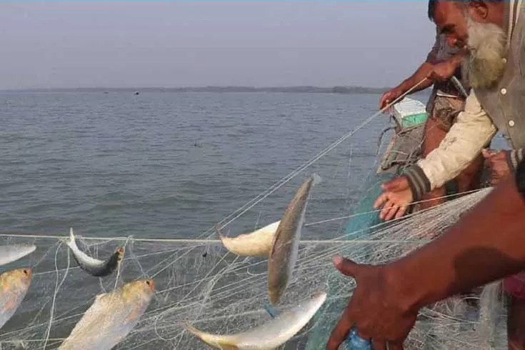 ইলিশ-শিকার-বন্ধ-জেলেদের-জন্য-১১-হাজার-টন-চাল