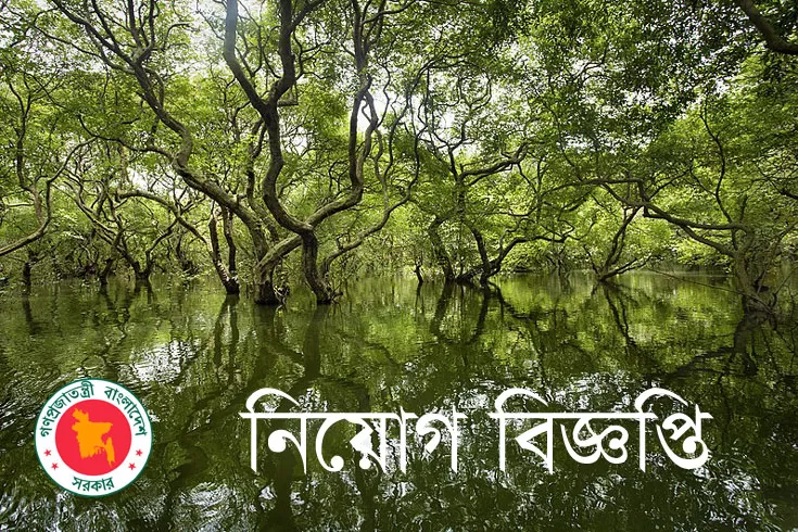 ২৫-নিয়োগ-দিচ্ছে-পরিবেশ-বন-ও-জলবায়ু-পরিবর্তন-মন্ত্রণালয়