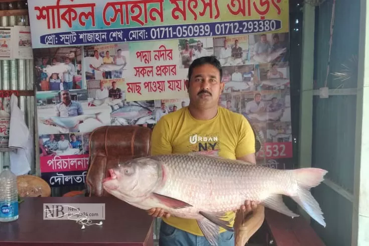 ১৬ কেজির কাতল বিক্রি ২৩৭০০ টাকায়