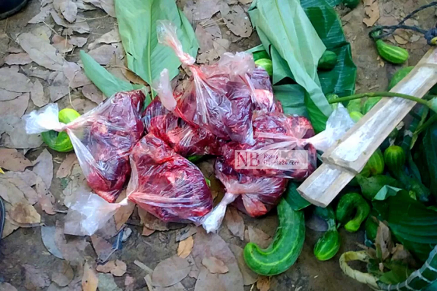 চবিতে-উদ্ধার-হরিণের-মাংস-মাটিচাপা