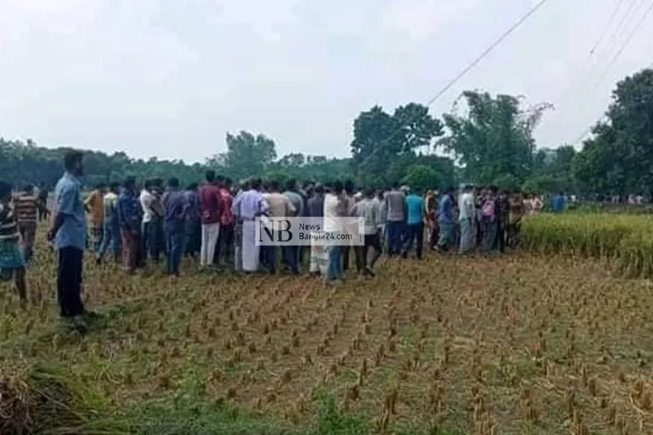 নিখোঁজের পরদিন ধানক্ষেতে মিলল মরদেহ