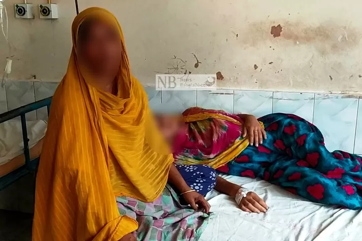 যৌতুক না পেয়ে অন্তঃসত্ত্বাকে নির্যাতনের অভিযোগ