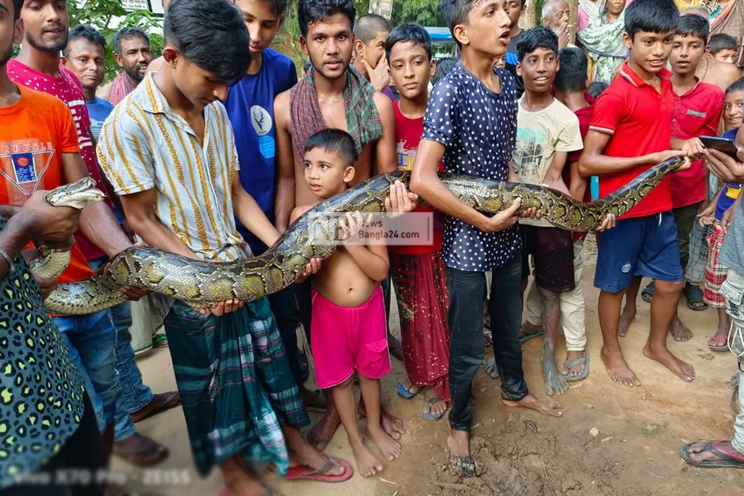 পুকুর থেকে উদ্ধার অজগর ইকোপার্কে অবমুক্ত