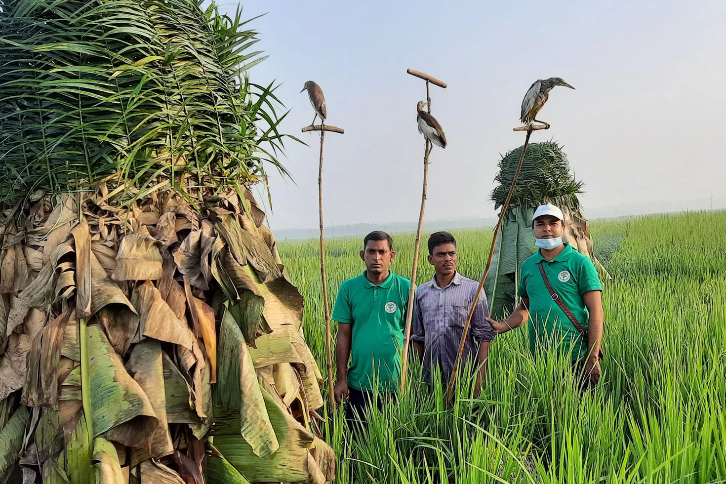 মুক্ত-আকাশ-পেল-২০-বক