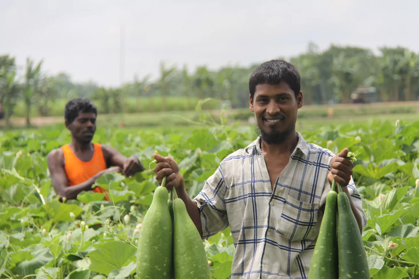 সহকারী-মহাব্যবস্থাপক-নিচ্ছে-ক্ষুদ্র-কৃষক-উন্নয়ন-ফাউন্ডেশন