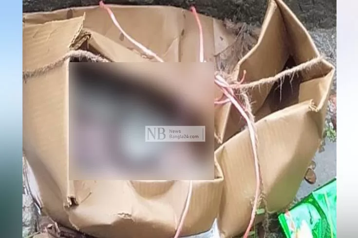 নবজাত‌কের মরদেহ কার্টনে