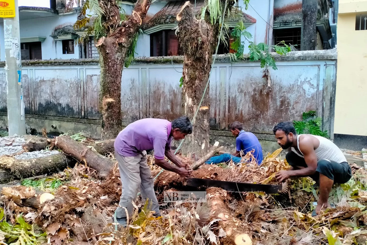 রাতে ২০০ গাছ কাটল সিটি করপোরেশন