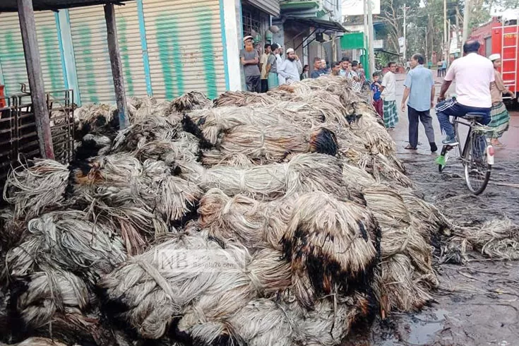 কালীগঞ্জে আগুনে পুড়ল ৬০০ মণ পাট