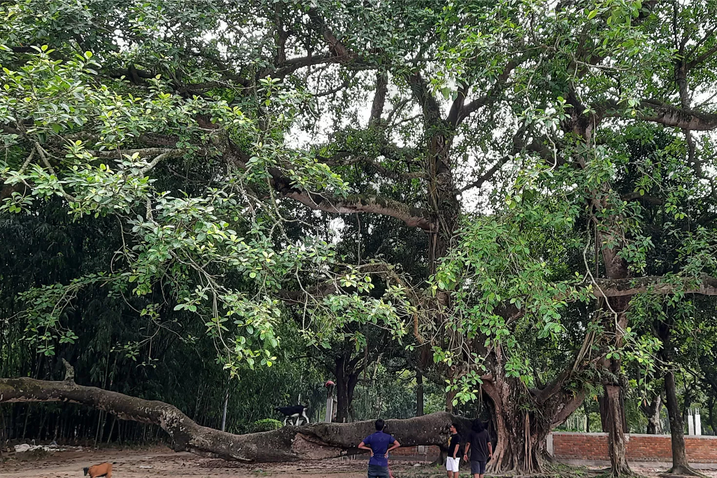 জ্ঞাতবাসে-দিবারাত্রি