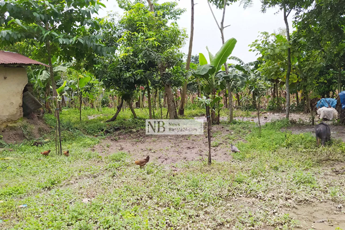 সরকারি স্কুলের ২ একর জমি ‘বেদখলে’