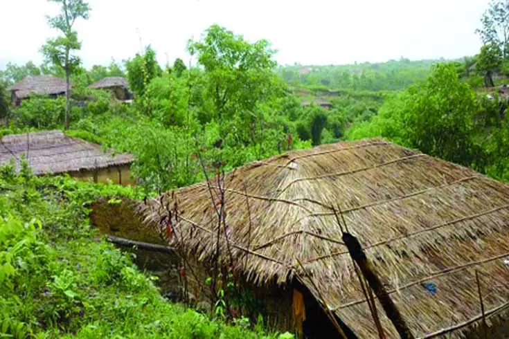 বনভূমিবাসীদের নামে মামলা পুনর্বিবেচনার নির্দেশ