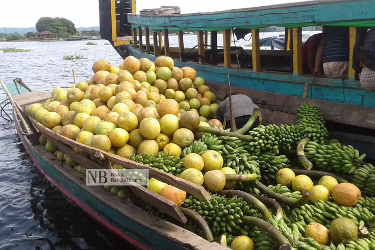 পাহাড়ে জাম্বুরার চাহিদা, বেড়েছে উৎপাদন