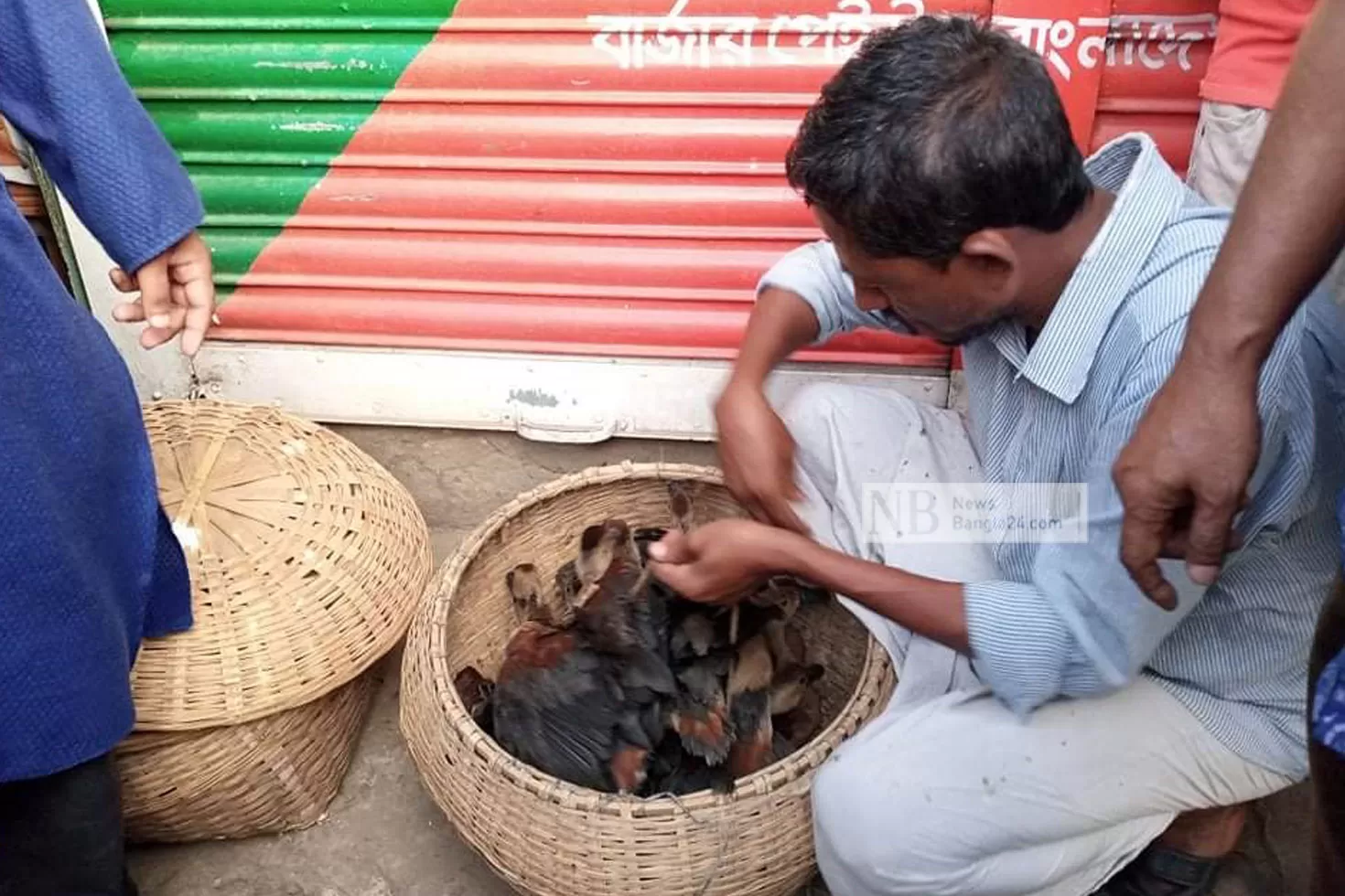 সিটি-মেয়রের-বাসার-কাছ-থেকে-বালিহাঁসসহ-শিকারি-আটক