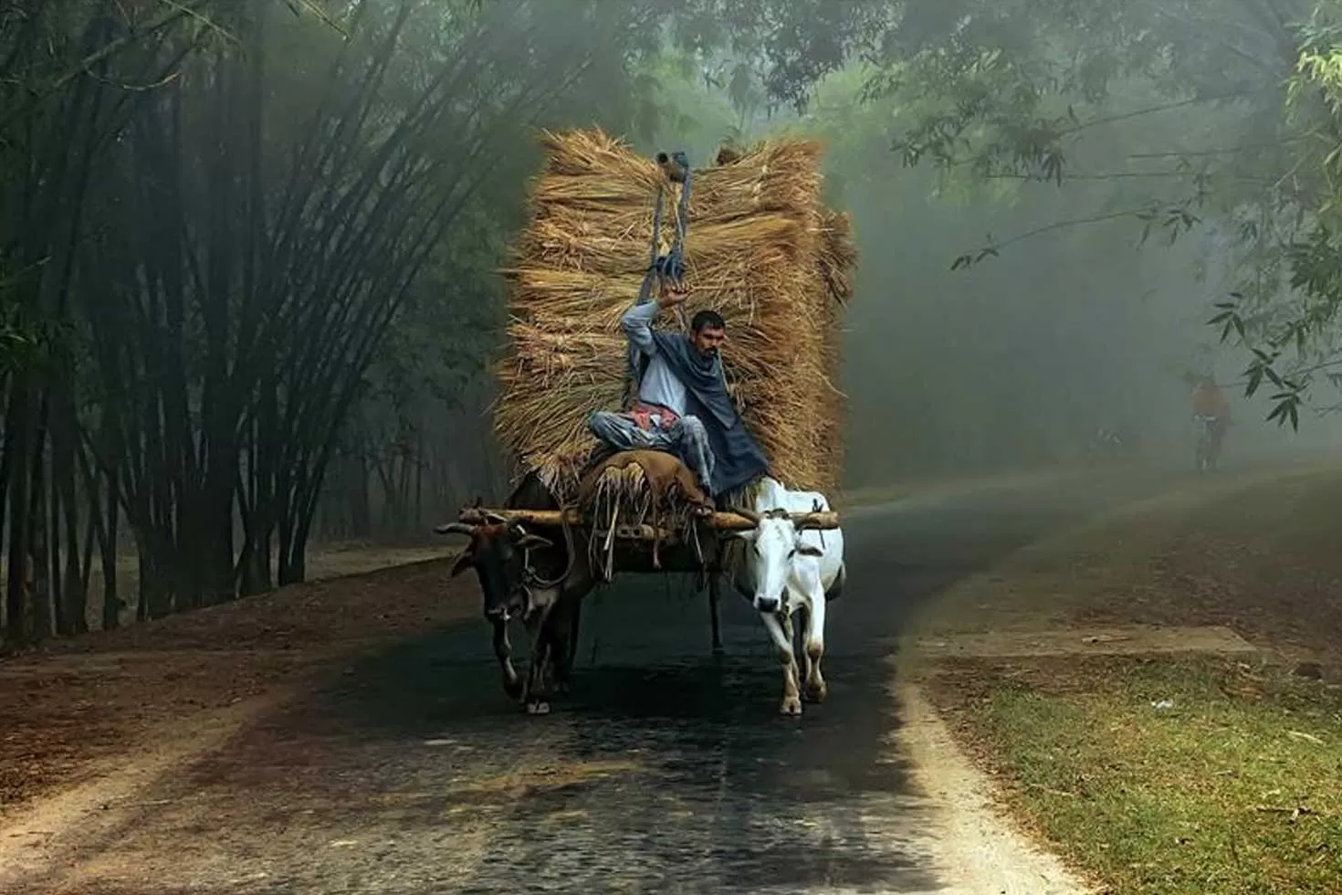 পশ্চিমবঙ্গে-শীত-শীত-ভাব