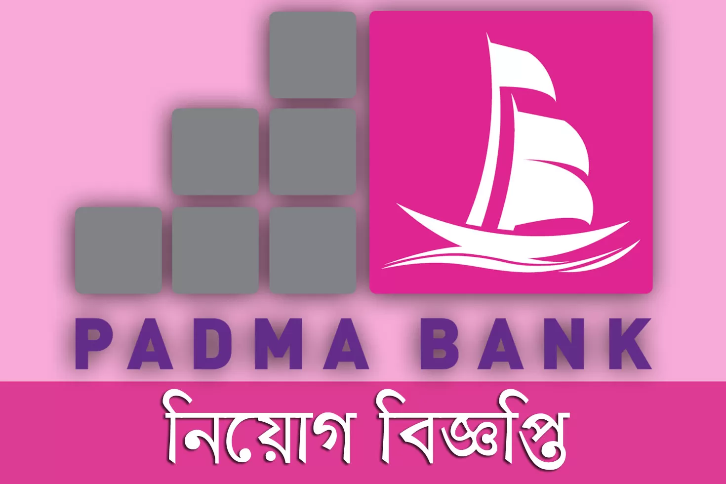 ম্যানেজমেন্ট ট্রেইনি অফিসার নিচ্ছে পদ্মা ব্যাংক