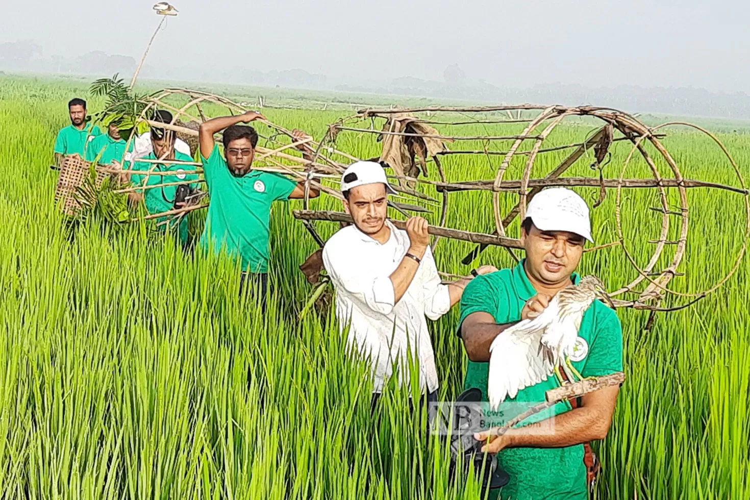 চলনবিলের-পাখি-বাঁচাতে-ওরা-১১-জন