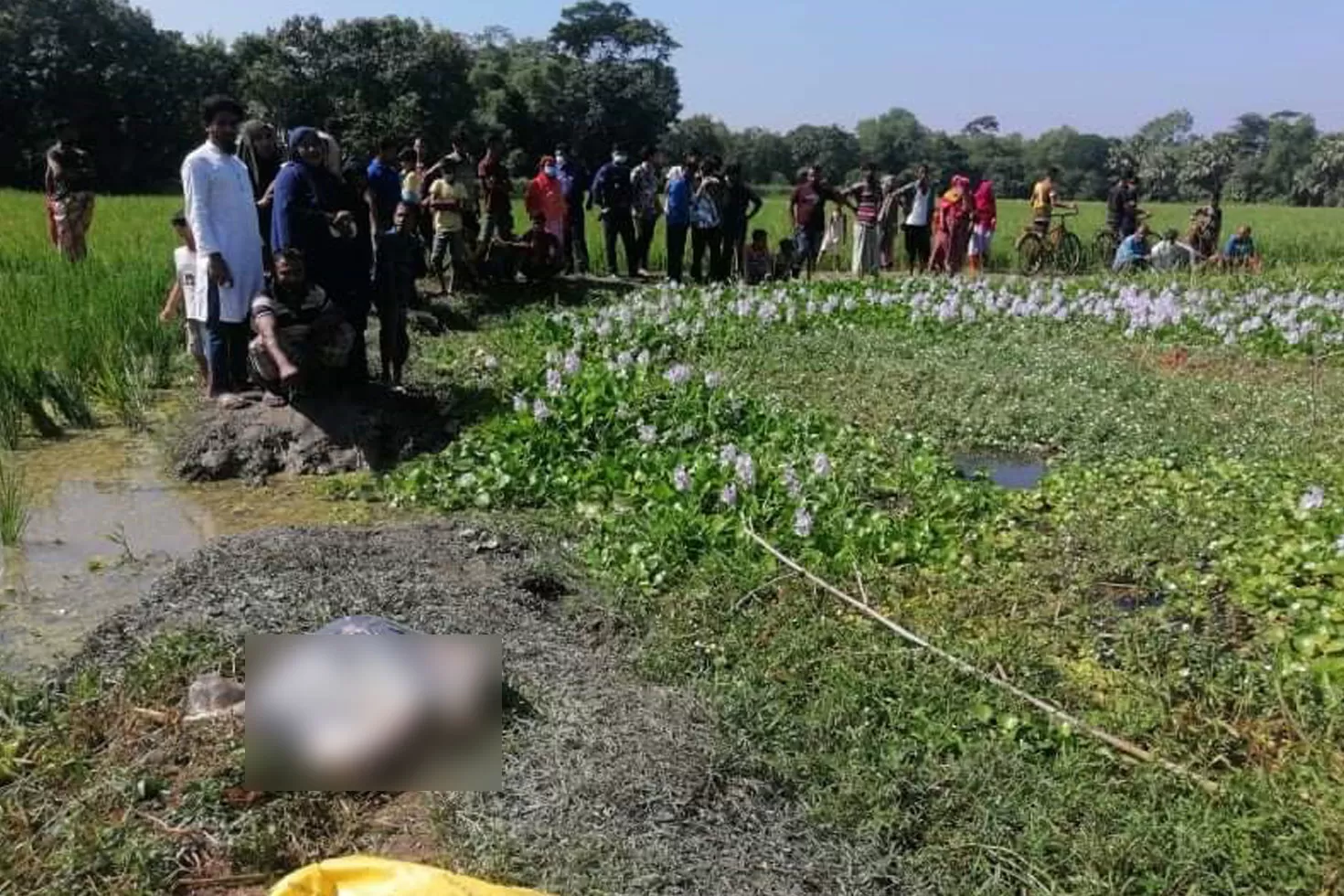 ডোবায় মস্তকবিহীন দেহ