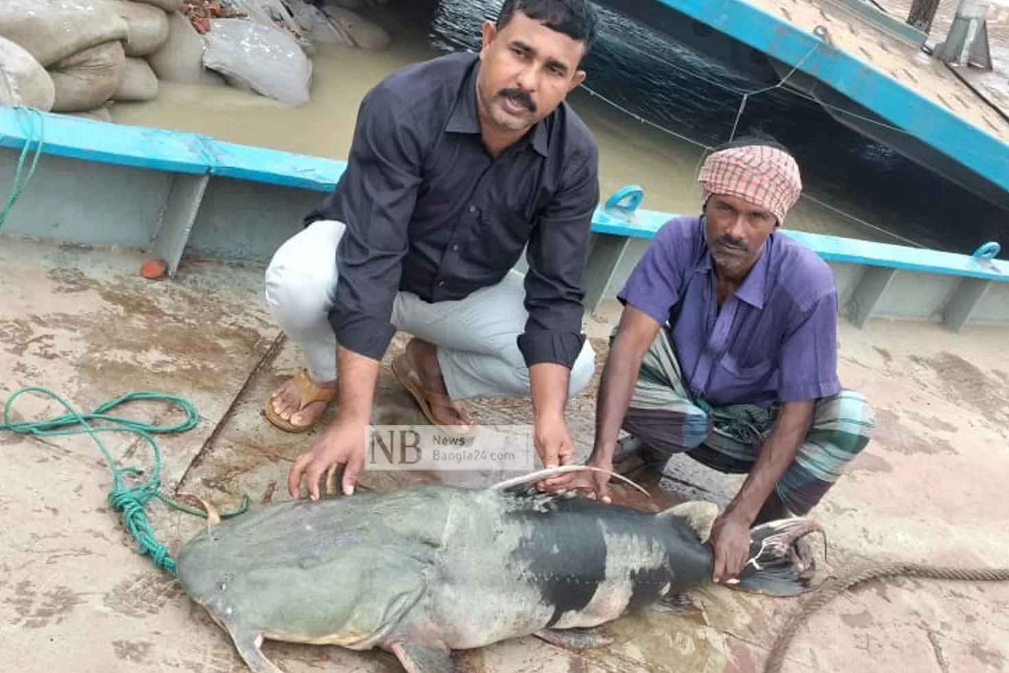 পদ্মায়-৩৯-কেজির-বাগাড়-বিক্রি-৫৭-হাজার-টাকায়