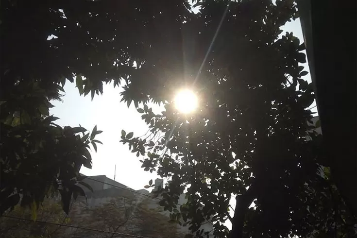 রোদ উঠবে আগামীকাল