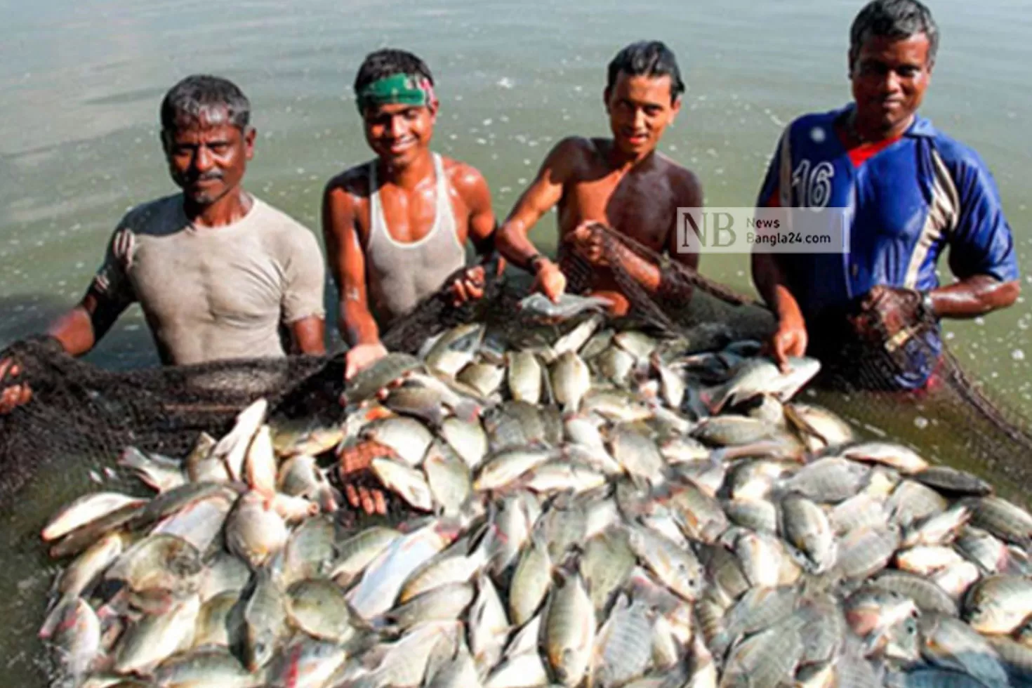 তরুণরা-ঝুঁকছেন-মাছ-চাষে