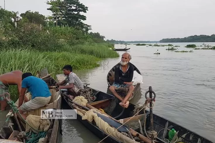 হালদার মাছের জীবন রহস্য উন্মোচন 