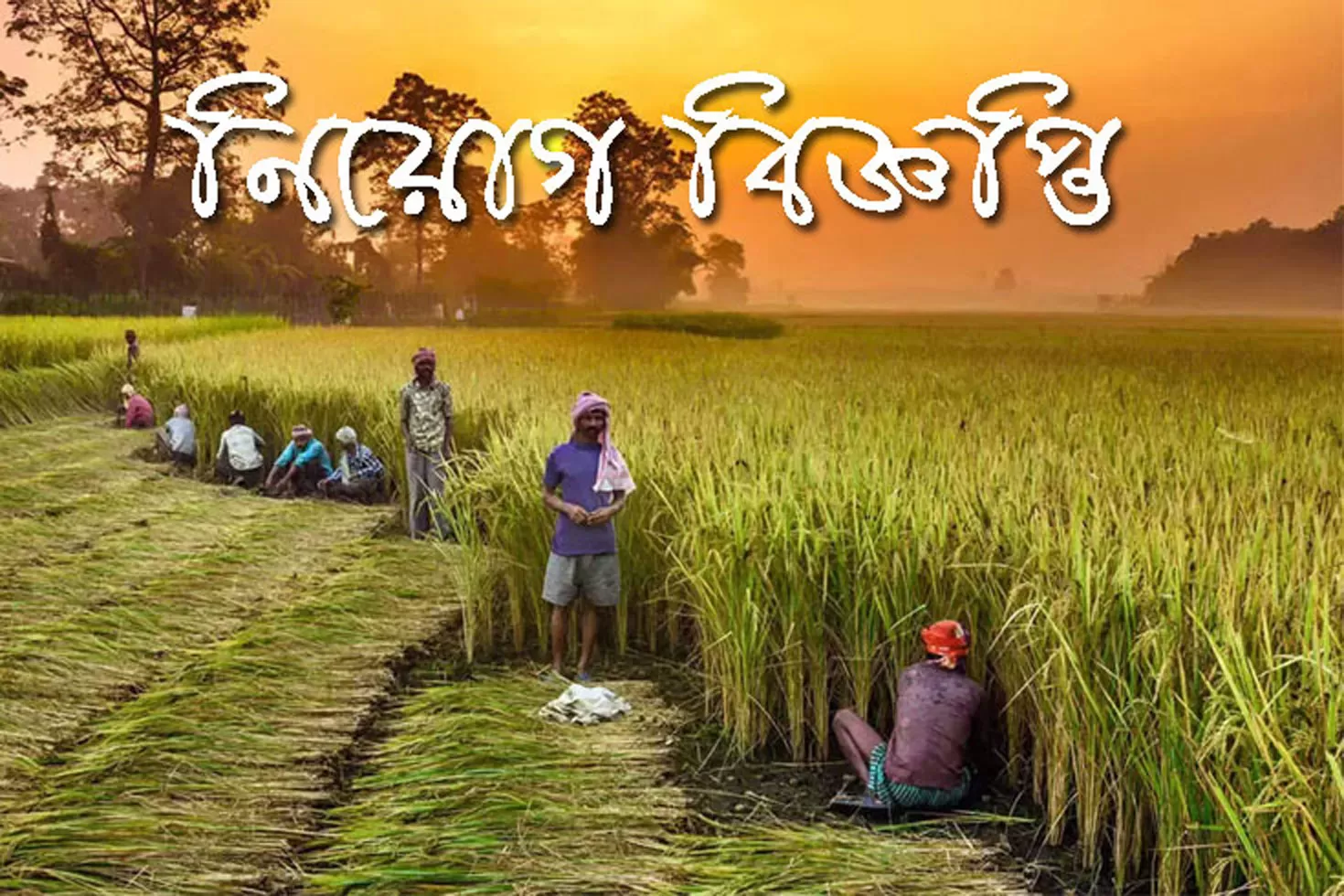 চুক্তিভিত্তিক কম্পিউটার অপারেটর নিয়োগ কৃষি মন্ত্রণালয়ে
