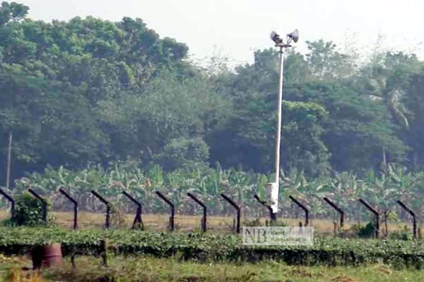 ভারতে-গরুসহ-বাংলাদেশি-যুবক-আটক-থানায়-হস্তান্তর