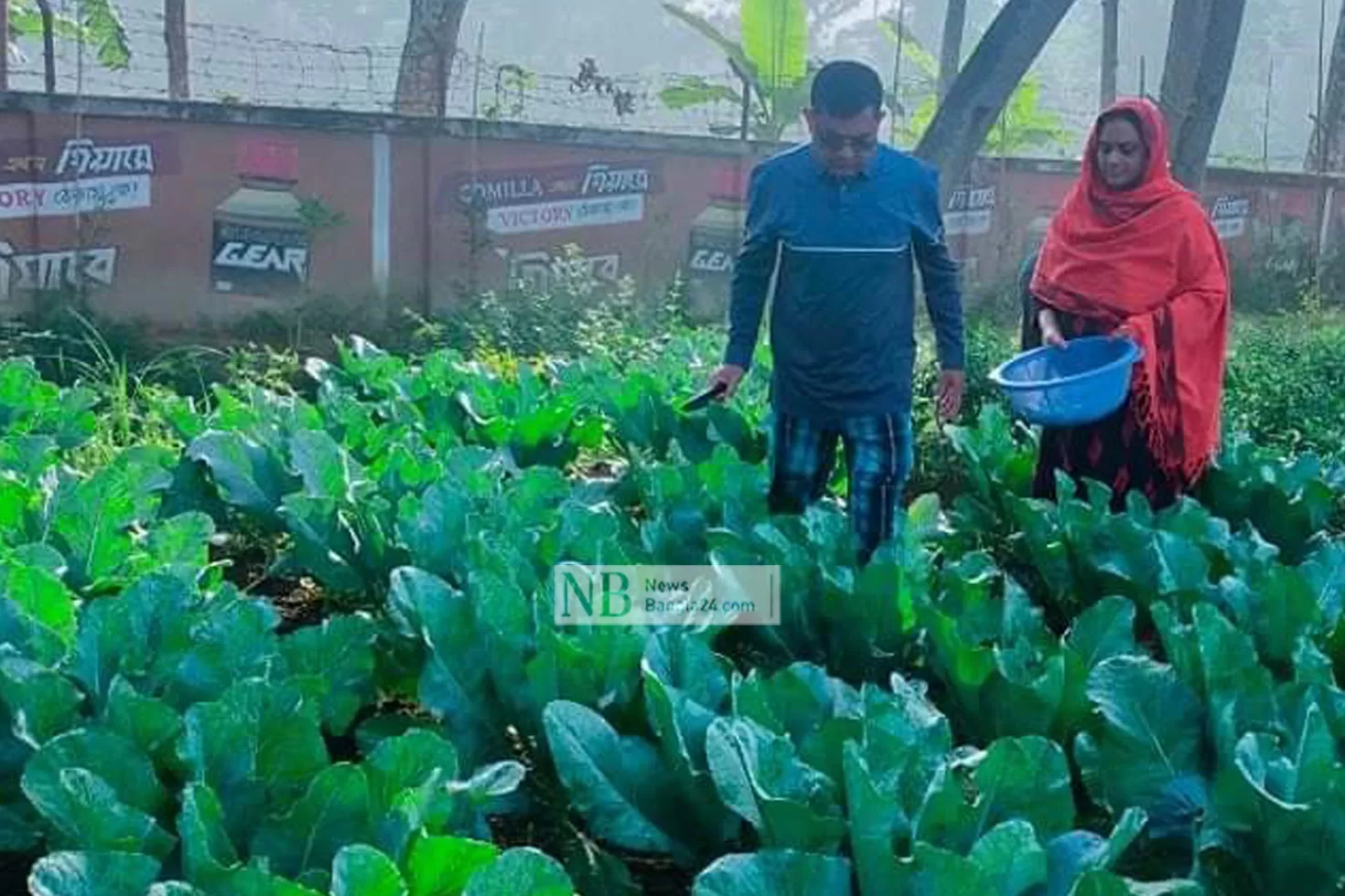 ঝোপঝাড়ে নান্দনিক বাগান কুমিল্লার ডিসির 