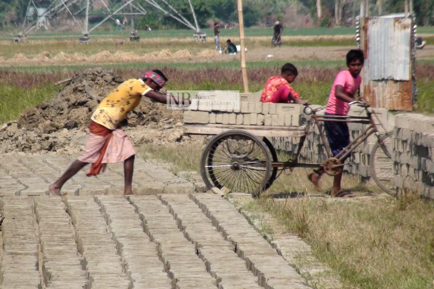 ইটভাটায় পুড়ছে শিশুর ভবিষ্যৎ