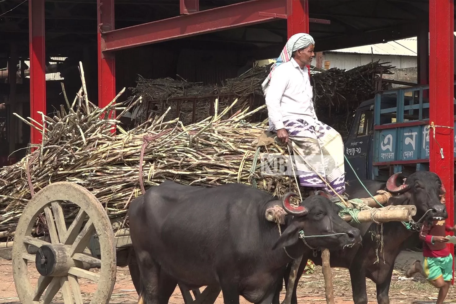 চাহিদার-আখই-পাচ্ছে-না-চিনিকল-গুনছে-লোকসান 